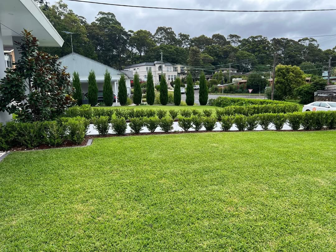 After: Front yard tidy-up